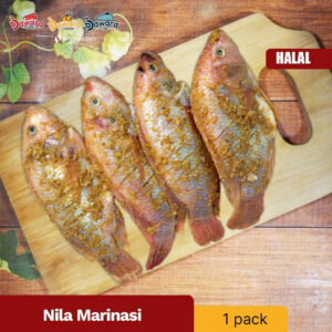 Ikan Nila Marinasi Bumbu Kuning